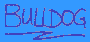 Thanks for visiting, and take a look around for clues on who Bulldog might be, or what year the Webmaster graduated from SCS! Thanks for visiting, and take a look around for clues on who Bulldog might be, or what year the Webmaster graduated from SCS!